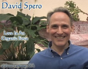 Love Is An Organic Force, February 05, 2010